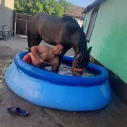 Cal Wash