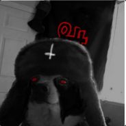 Dysu