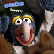 Gonzo