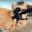 Group Avatar