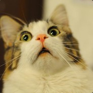 KoT
