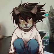 raccoon.abuser