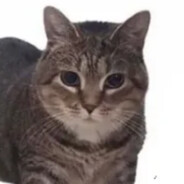 enf