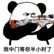 不知几儿观吾战，汝父