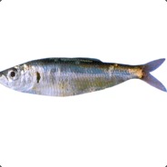 Baltic Sprat