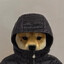 Cyber_