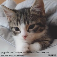 Steam Community Avatar