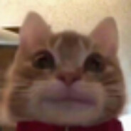 jerzyk