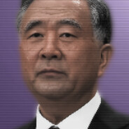 汪洋主席
