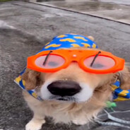 cookiesbtw