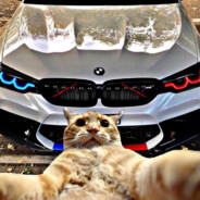 ꧁༺☞ShÅdòW☜༻꧂