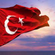 Bozkurt Yiğit