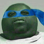 Niger_leo