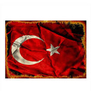 CANİŞ