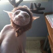 Steam profile picture for @our