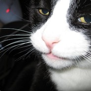 Geoff