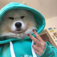 666