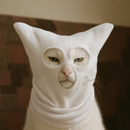 White Cat