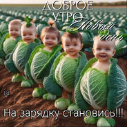 cabbage