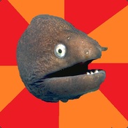 eelcozy