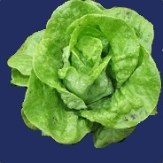 xXsalad/eaterXx