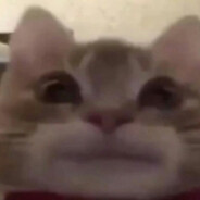 十三