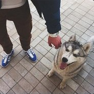 ST1M ♥♥♥♥♥♥♥♥♥.com csgoastse.com