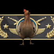 Chicken Strike