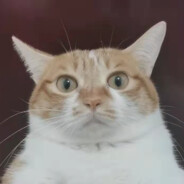 送温暖