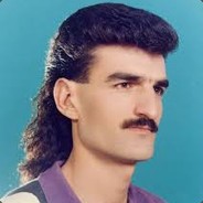 TheMullet