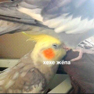 Седое яйцо