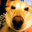 Group Avatar