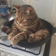 Sui碎碎