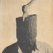 Zidonia