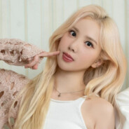 닌포 Ninpo