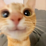 katch katch