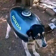 Negrett