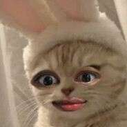 Neo Innosen