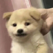 阿哲哲哲