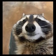 Pelík Kbelík