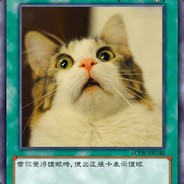 ★肥喵君★ (≧∀≦)ゞ