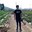 Group Avatar