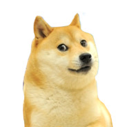 Pieselke_