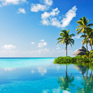 Paradise