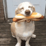 nosedehotdog