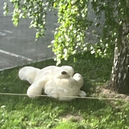 Ян ВПОПЕС