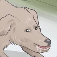 BorkInABox