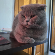 АКАУНТ НЕ МОЙ