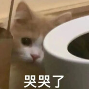 琳