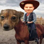 DawidKamilPatryk